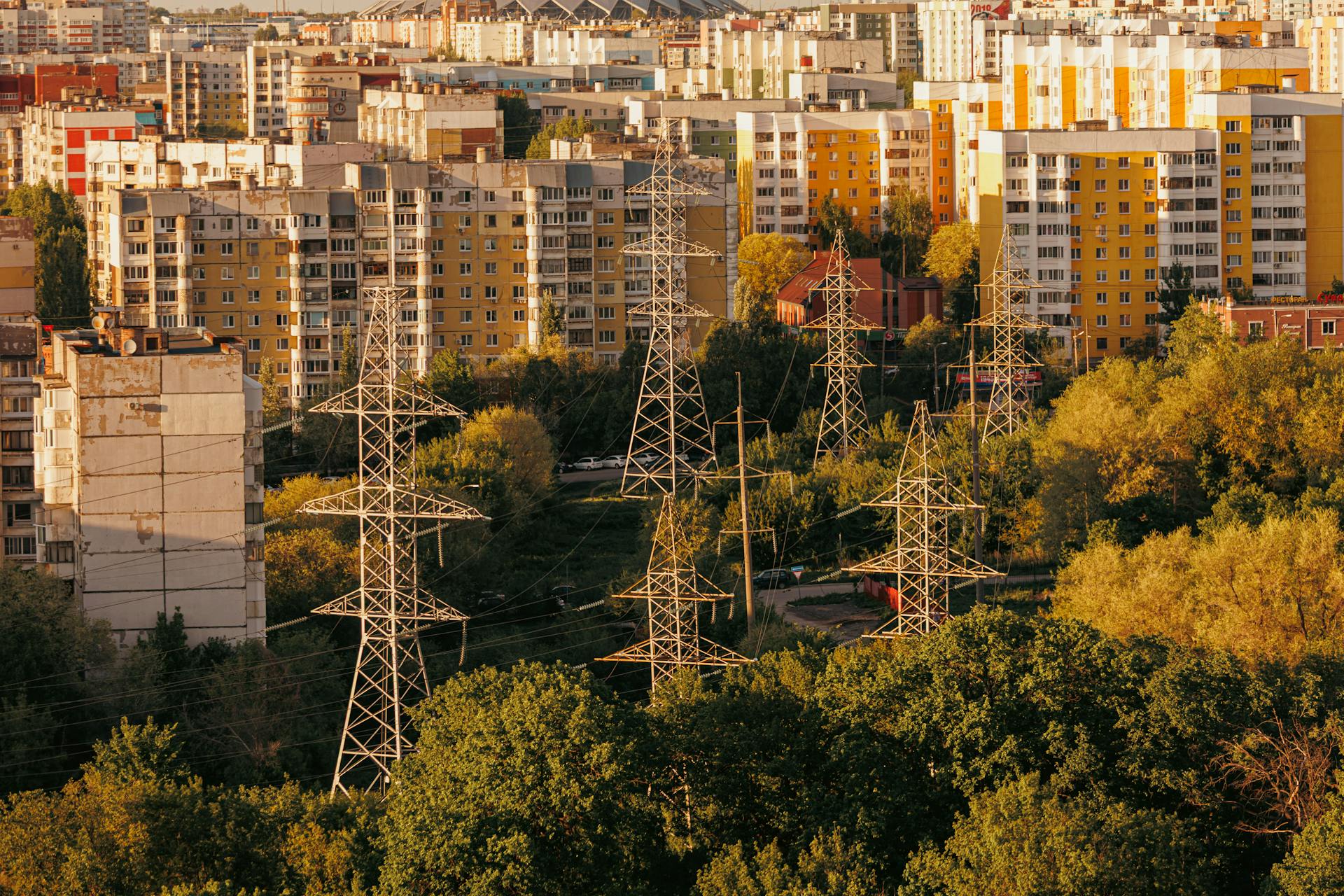 pexelskonradsphoto34074476 TPC Protect